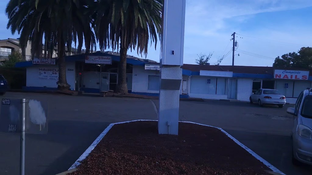  Albedo Arts Community