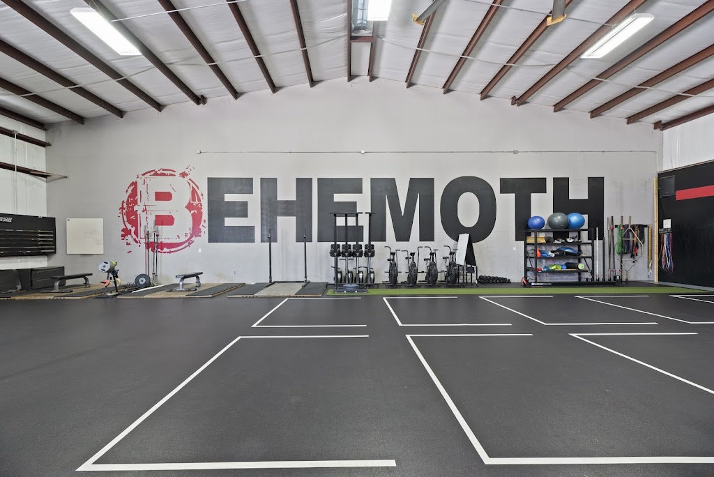  Behemoth Gym in Cypress, TX