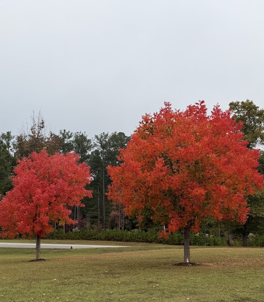  Opelika Sportsplex & Aquatics