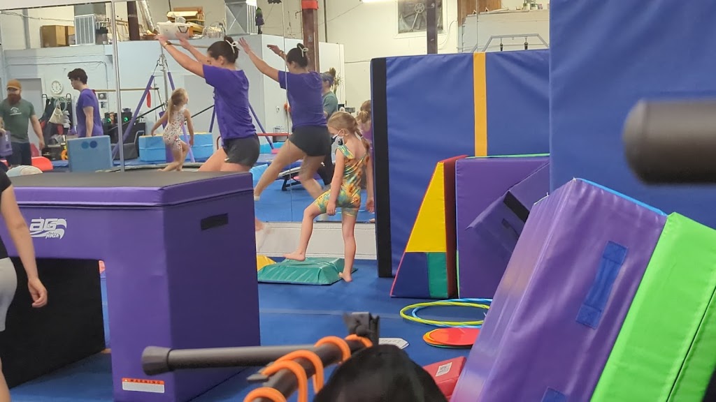 Gryphon Gymnastics
