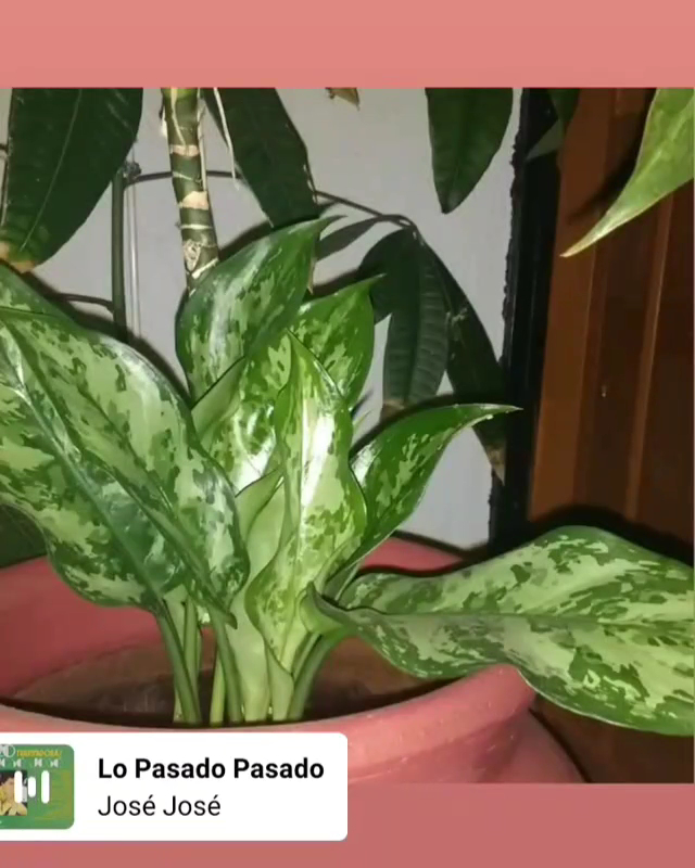  Bikram's Yoga College of India