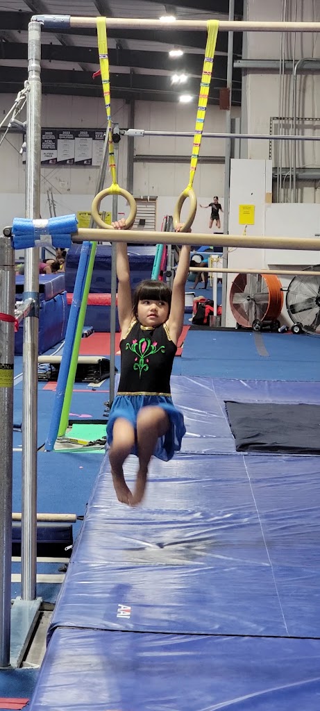  Leading Edge Gymnastics Academy