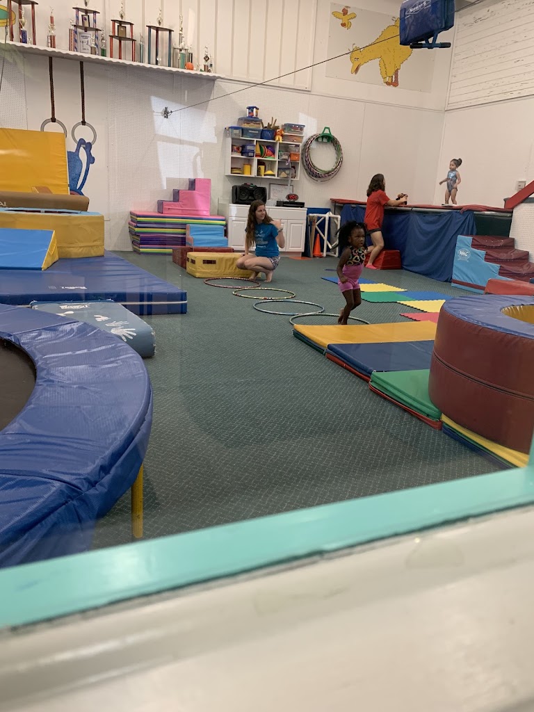  CATS Gymnastics-Wellington