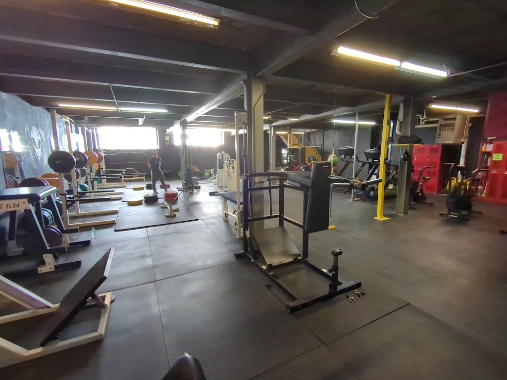  Maximum Level Fitness