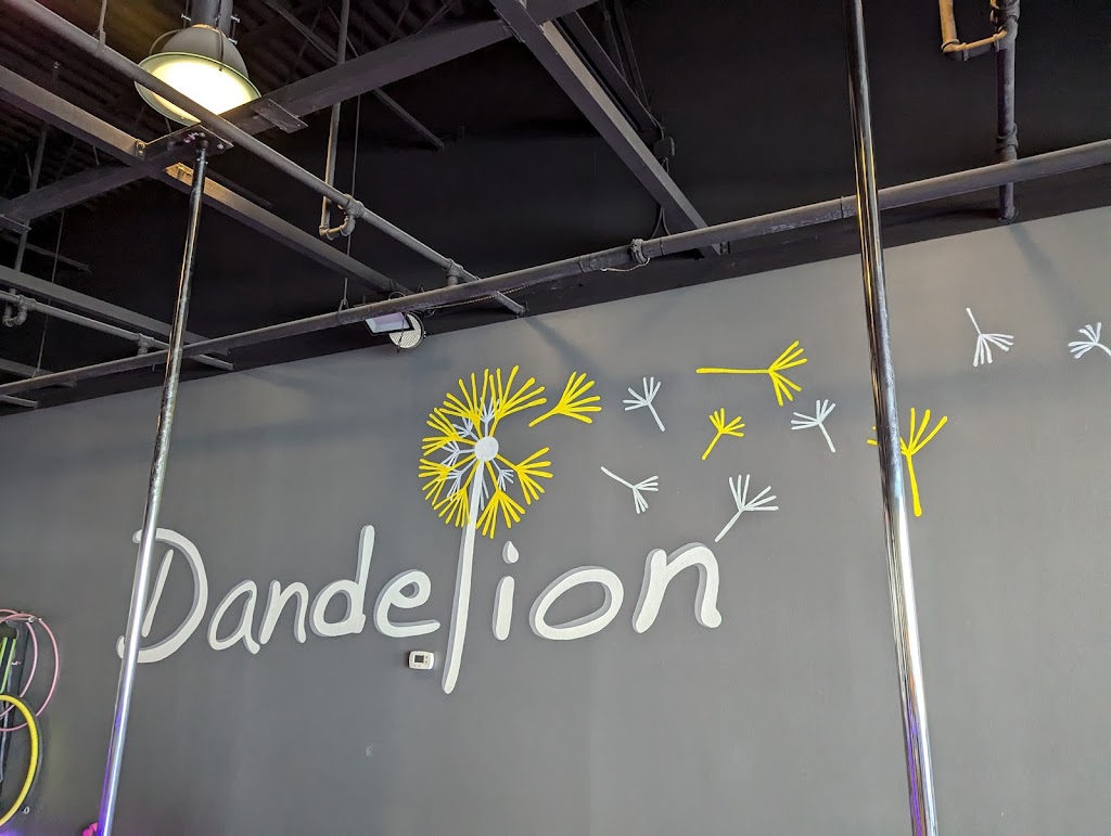  Dandelion