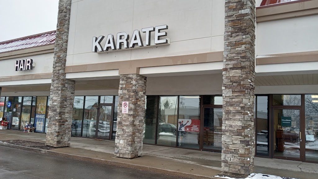  Martial Arts America Penfield