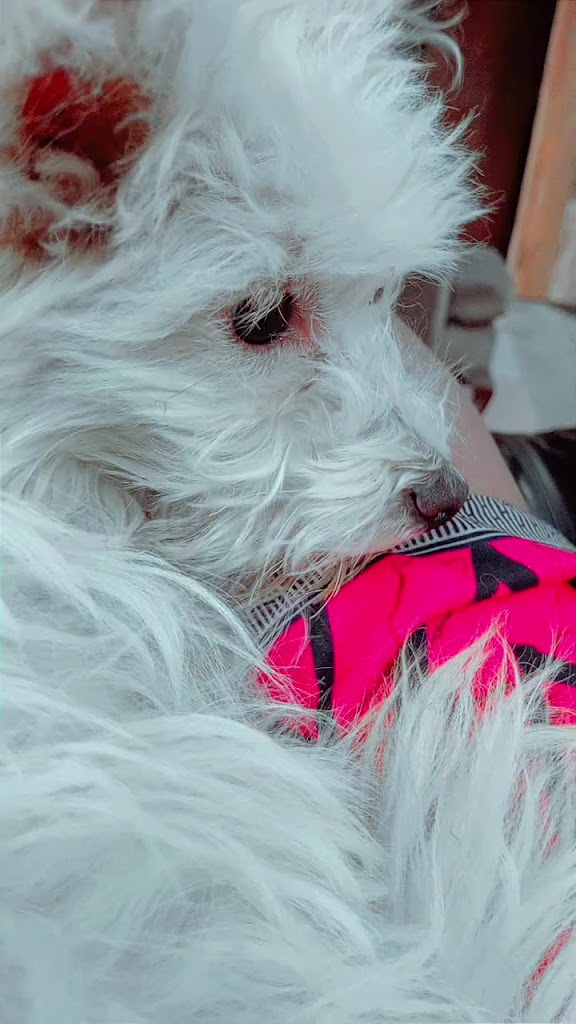  Idaho Falls Family YMCA