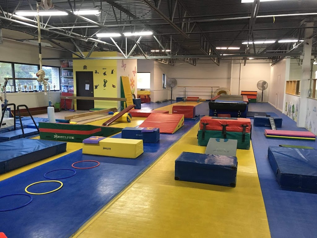  Michigan Academy of Gymnastics