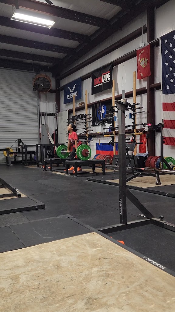  5 Rings Barbell