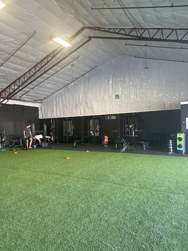  Impact Performance Training 2