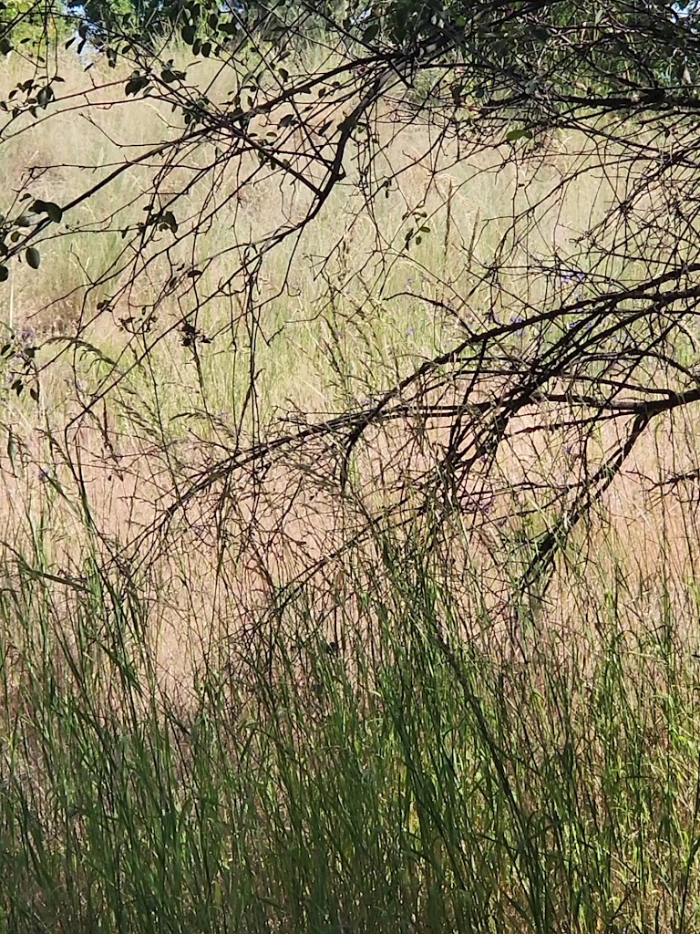  Spokane Valley YMCA - YMCA of the Inland Northwest