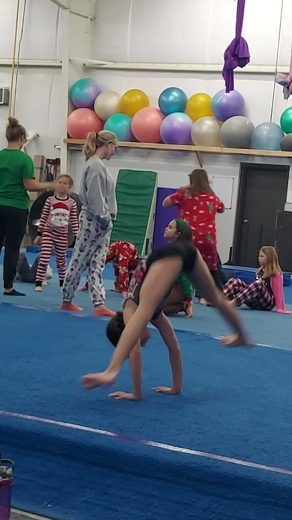  Level Up Gymnastics