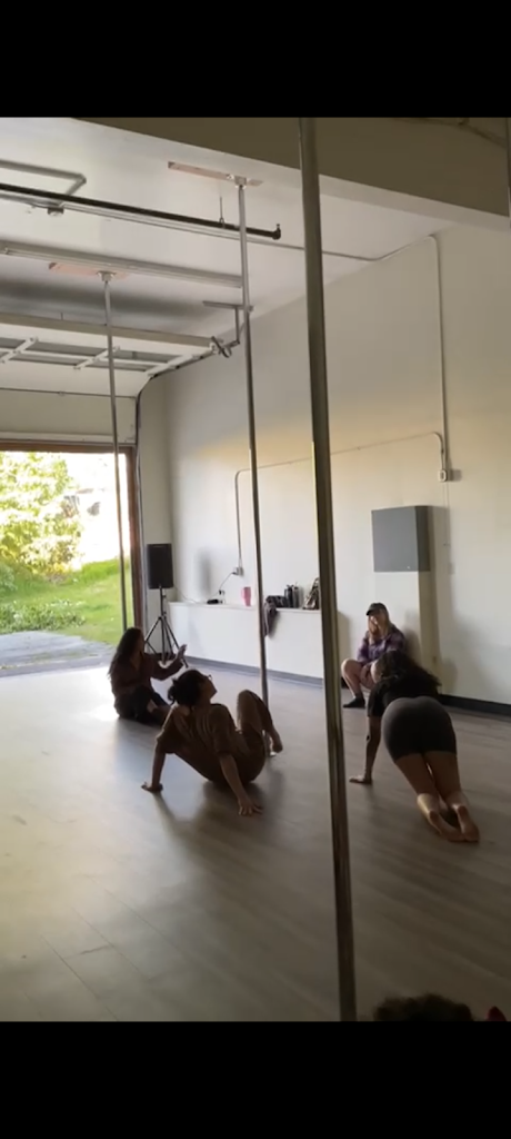  The Movement Atrium: Pole and Dance