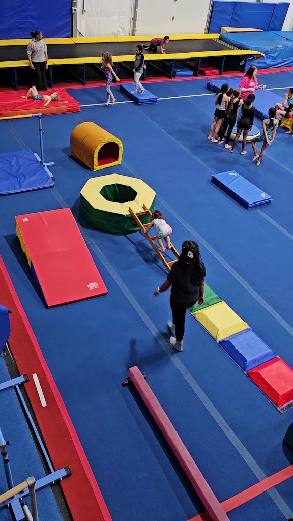  Emilia's Acrobatics, Gymnastics & Cheerleading