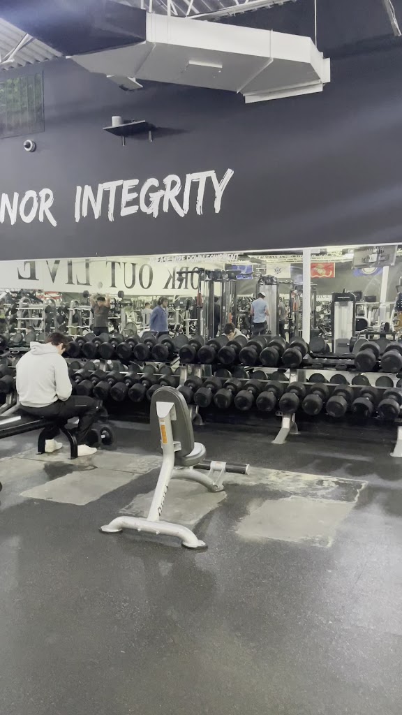  W.O.L.F. Fitness Northfield