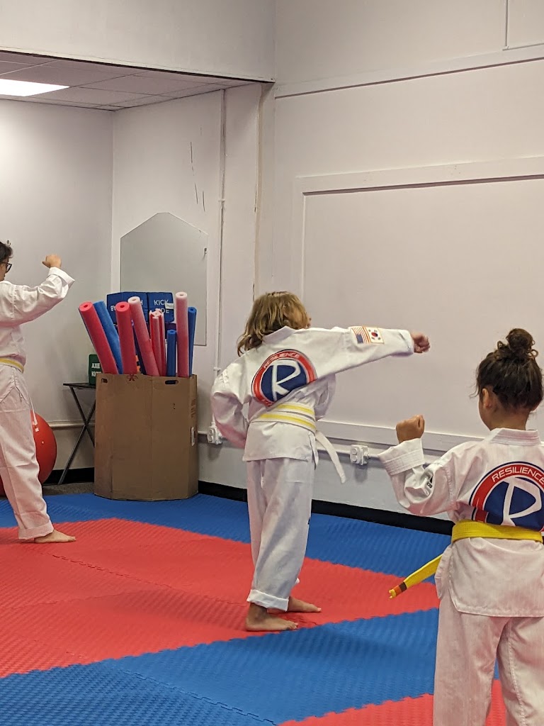  Resilience Martial Arts LLC