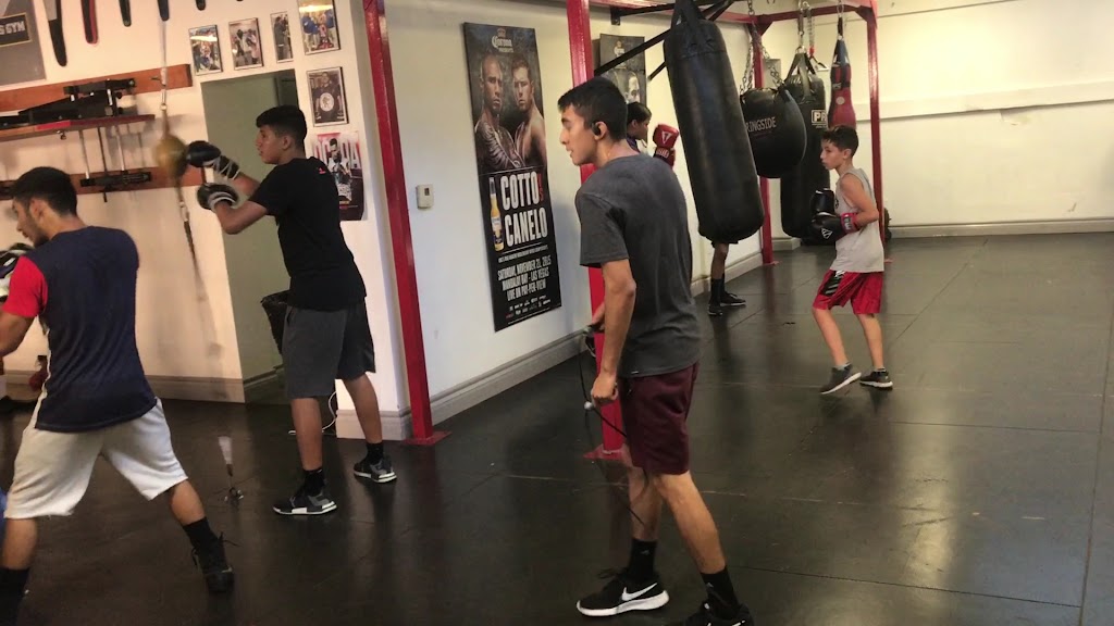  Jerry Ortiz Boxing Gym