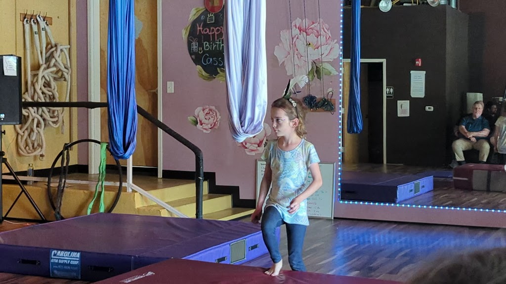  Cirque de Vol Aerial, Yoga, Fitness & Circus Community