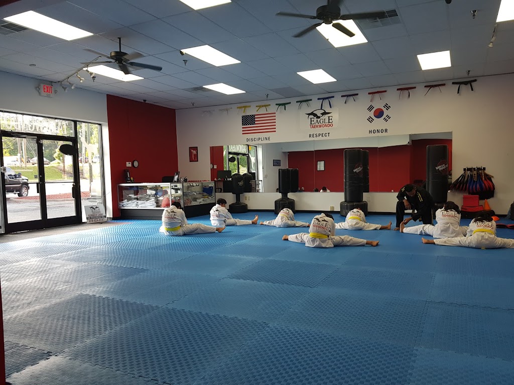  eagle taekwondo takes martial arts training to new heights