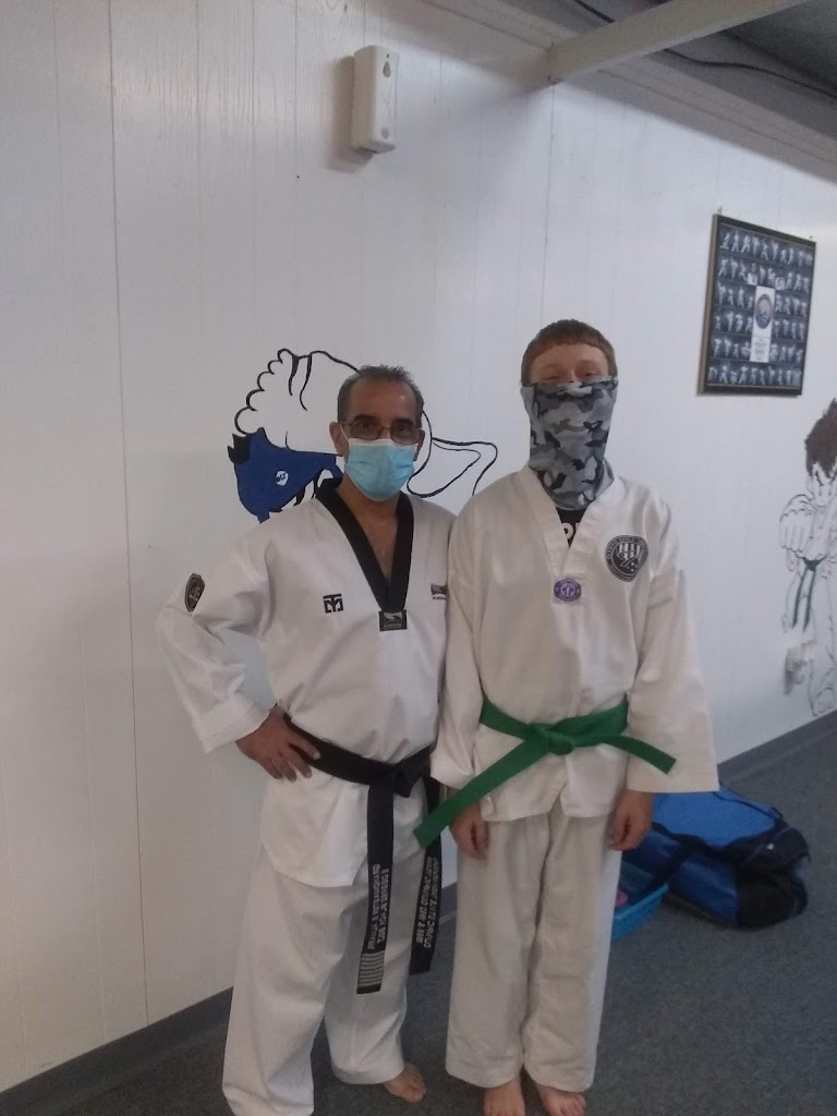  Olympic Style Taekwondo