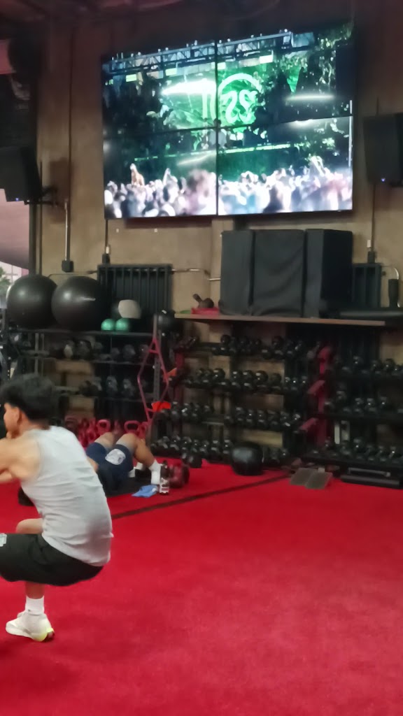  Madhouse Gains Asylum