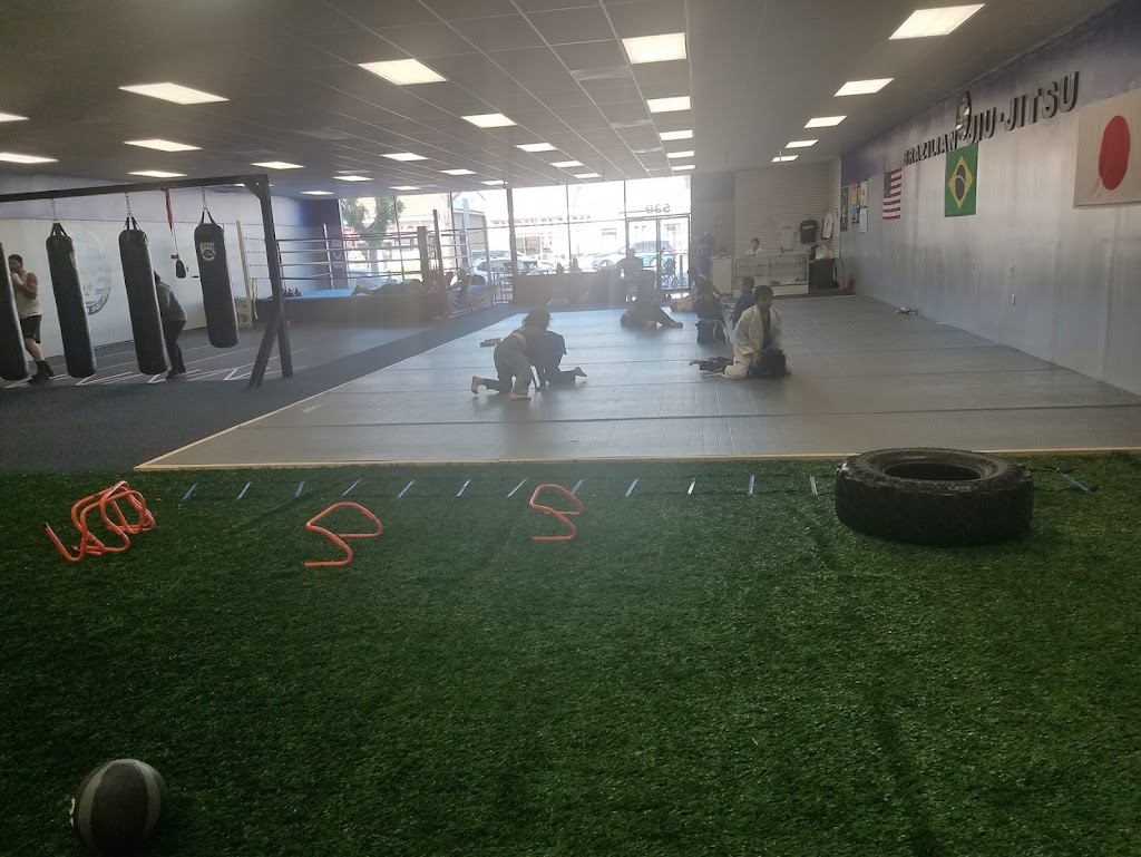  Champions Fight Academy 🥊Boxing 🥋Jiu-Jitsu 👊🏼 Muay Thai