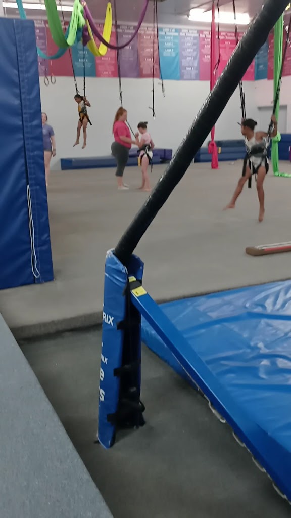  All Starz Academy-Gymnastics