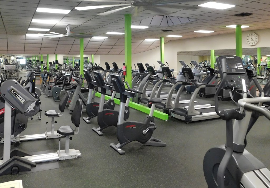  The Great Body Company