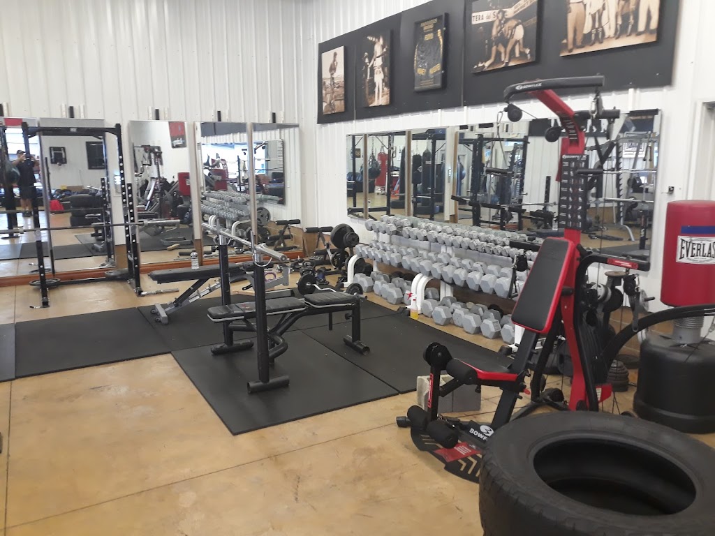  Amviares Boxing Academy