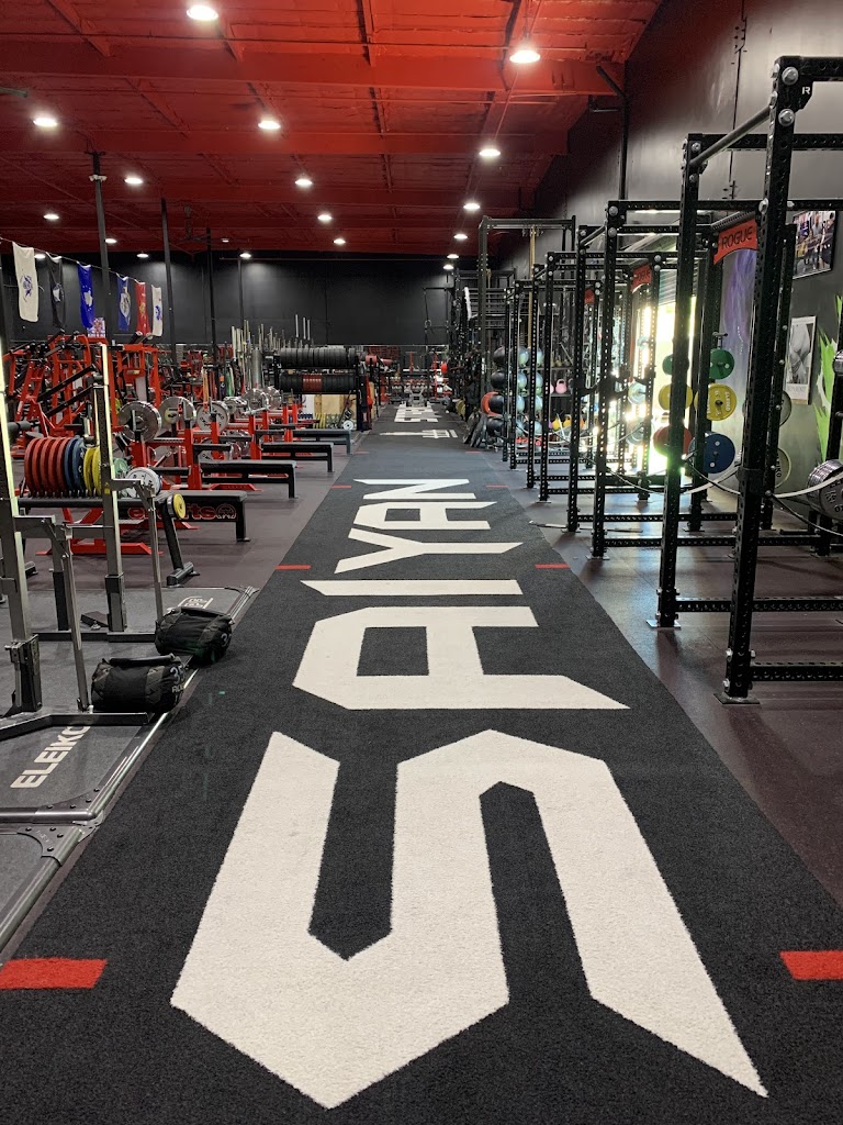  Saiyan Strength Gym - BY APPOINTMENT ONLY