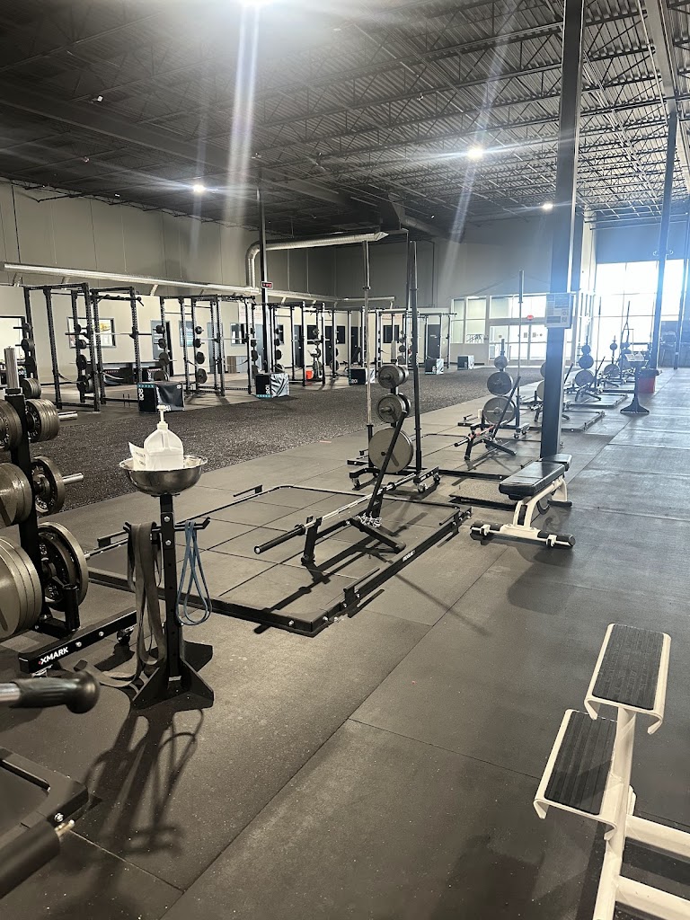  The Iron Asylum Gym