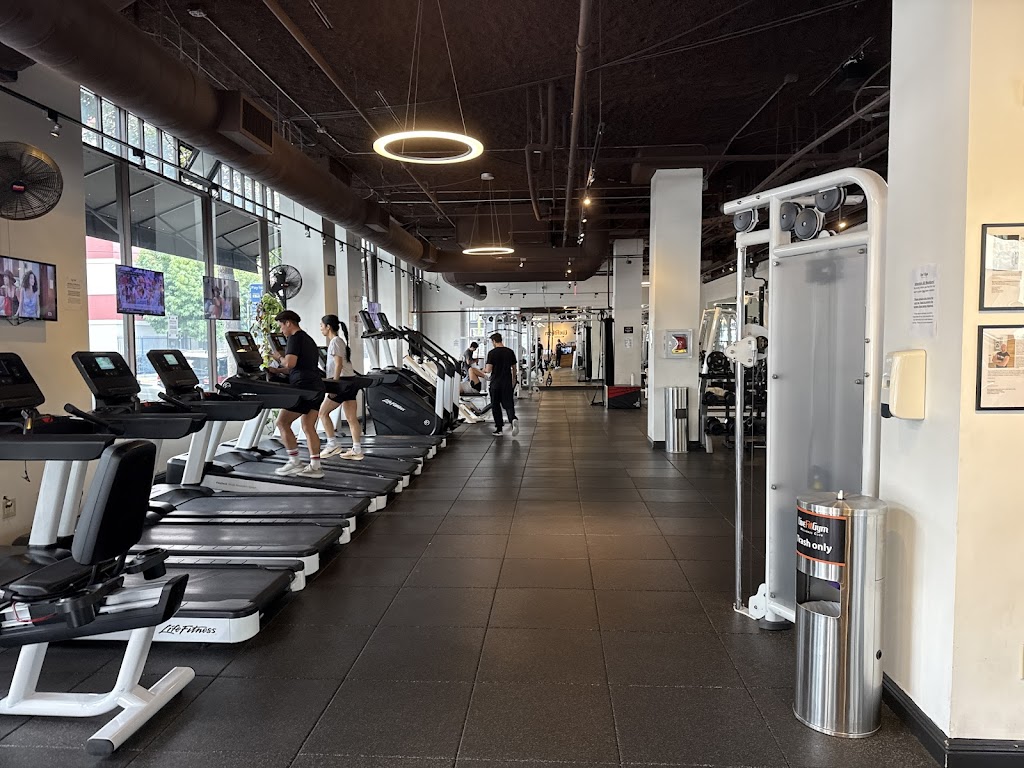  Live Fit Gym • Hayes Valley