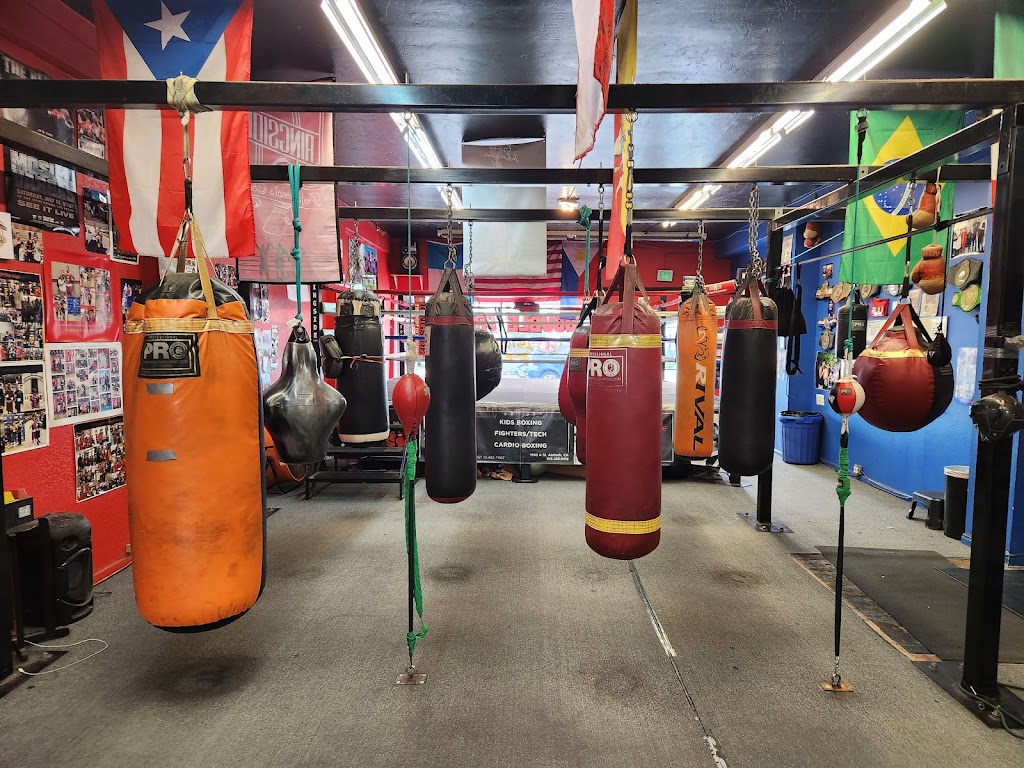  Double Trouble Boxing