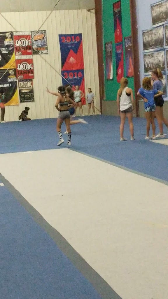  FLORIDA TEAM CHEER GATORS