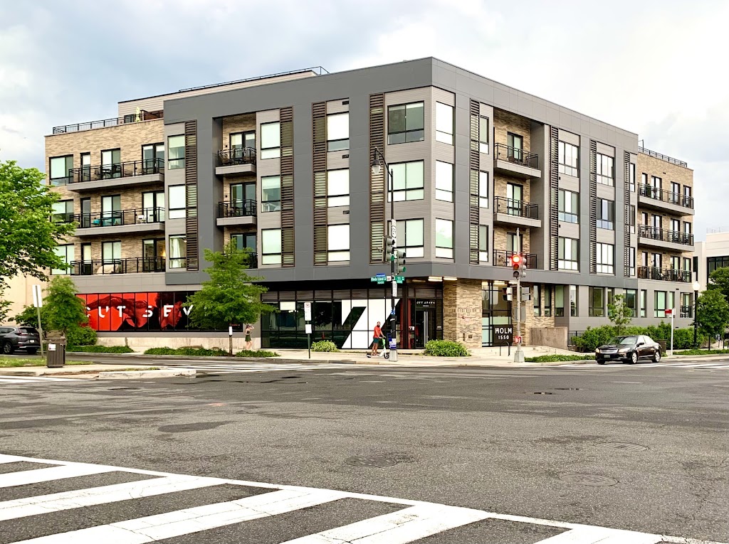  CUT SEVEN LOGAN CIRCLE