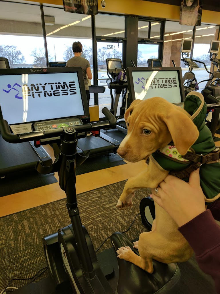  Anytime Fitness