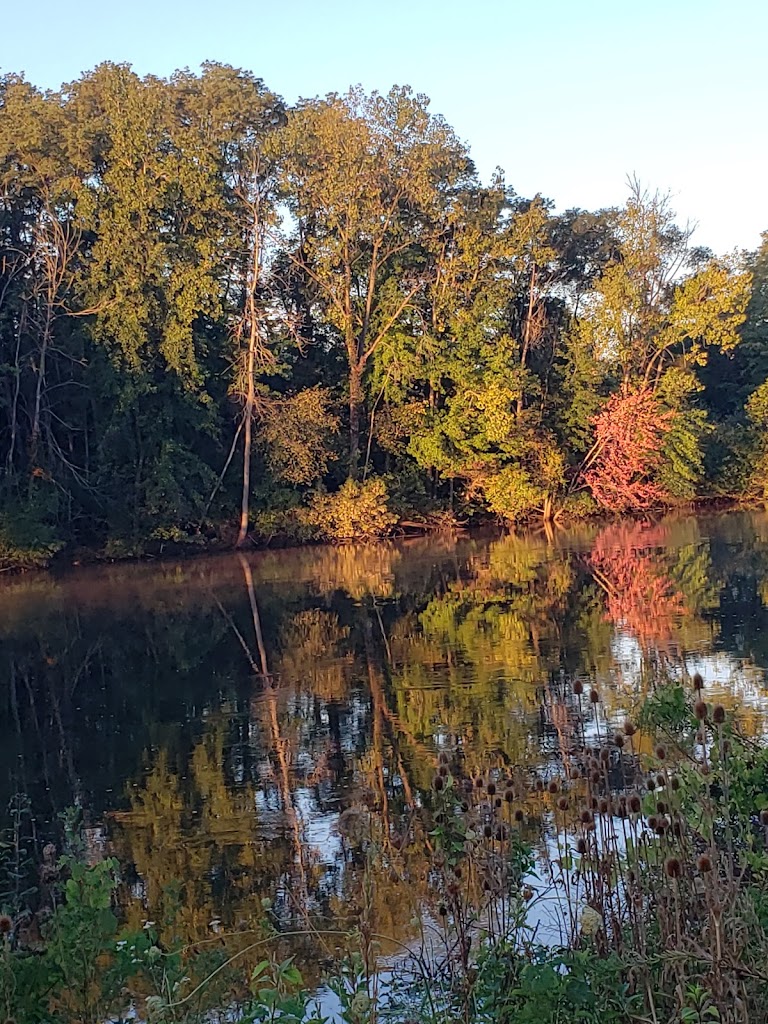  Jackson & Bedford Linear Park Carpark