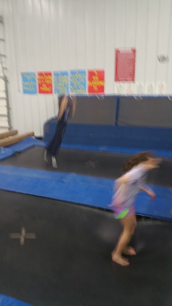  Gymnastics Academy