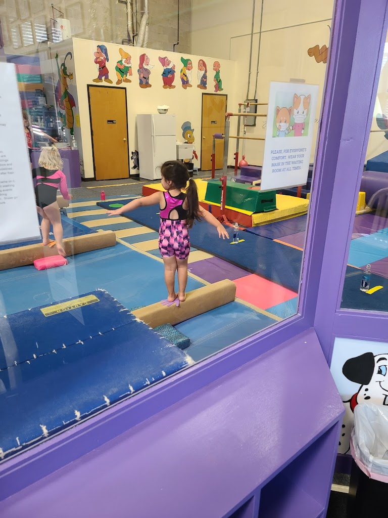  Connections Gymnastics School