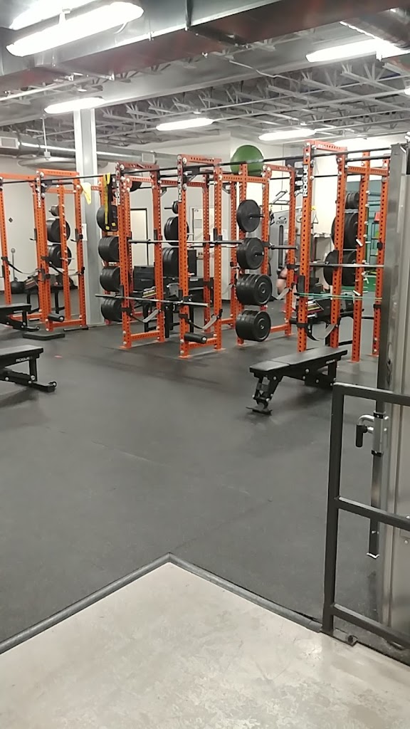  Impact Sports Performance