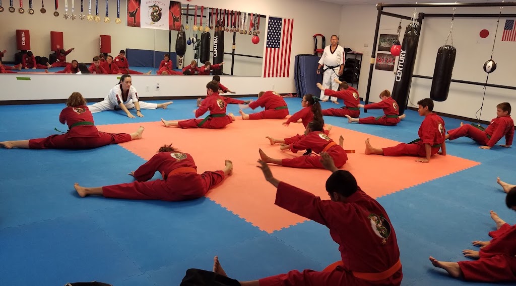  Mike Maxwell's Fighting Dragons Karate