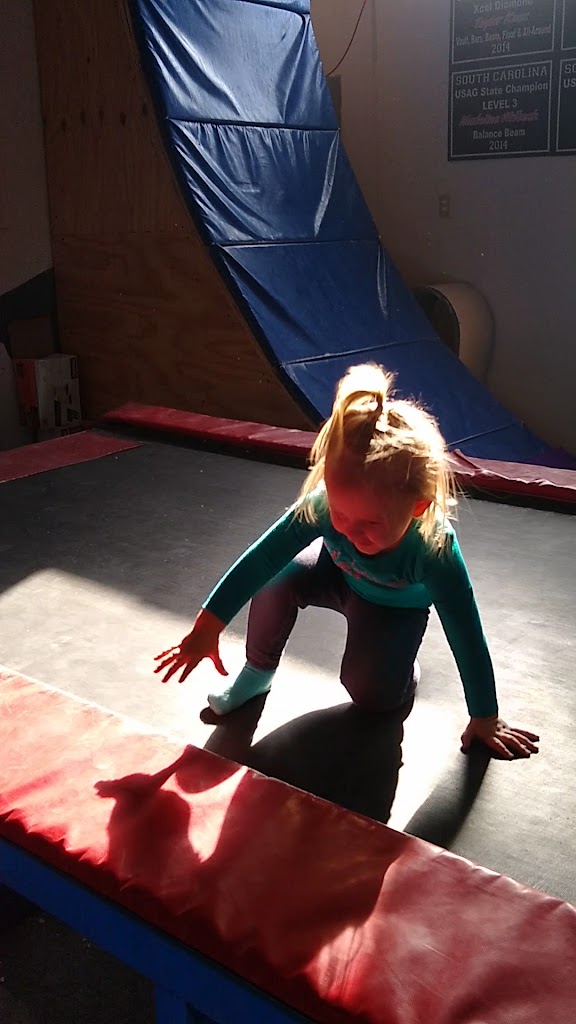  Acrosmith Gymnastics