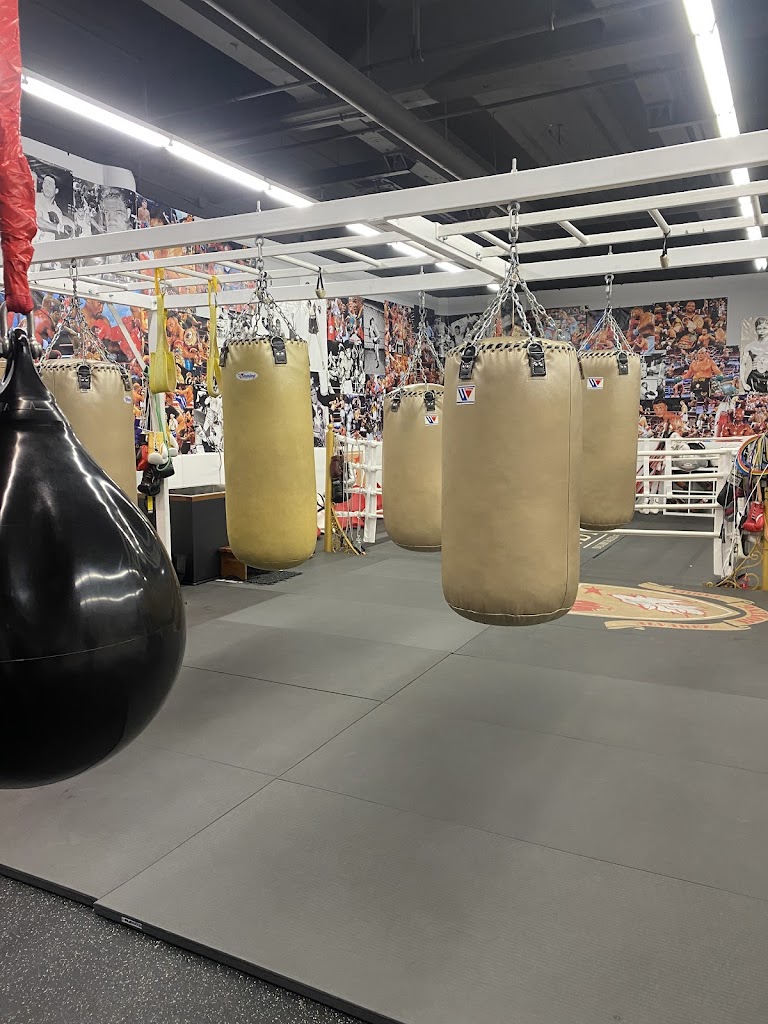  Alvarez Family Boxing