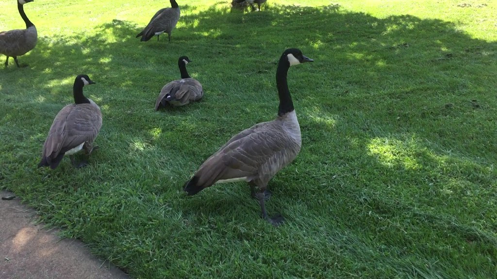  Ann Morrison Park Outdoor Gym