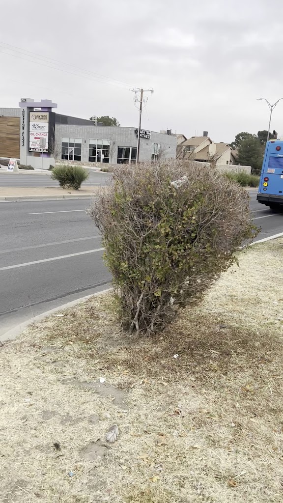  Anytime Fitness Montwood