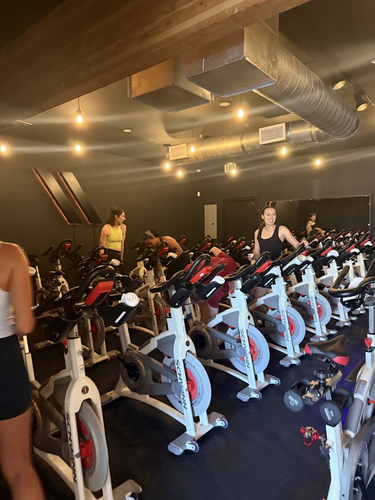  Pivot Cycle and Strength