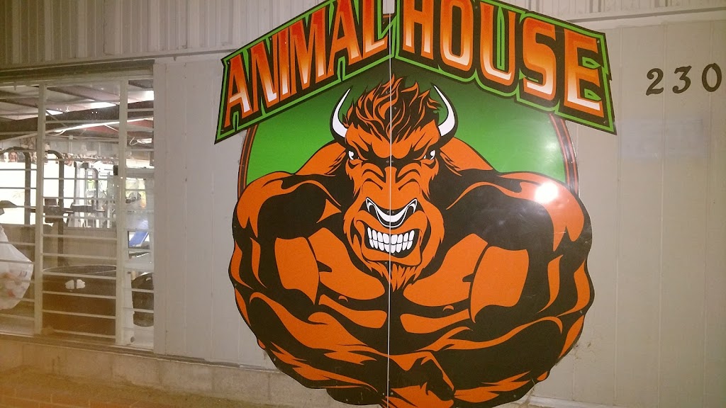  Animal House
