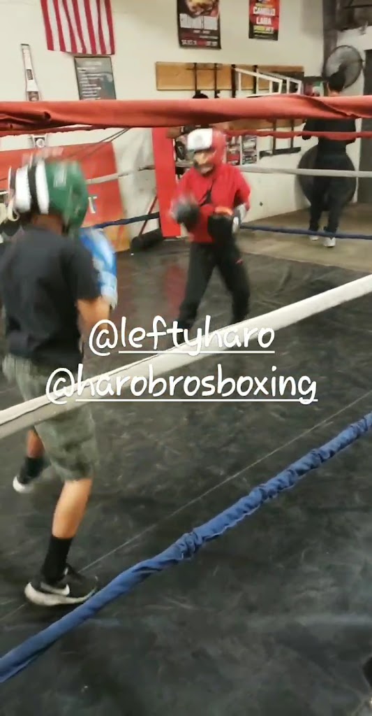  Haro Bros boxing