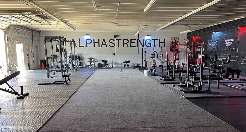  AlphaStrength Gym