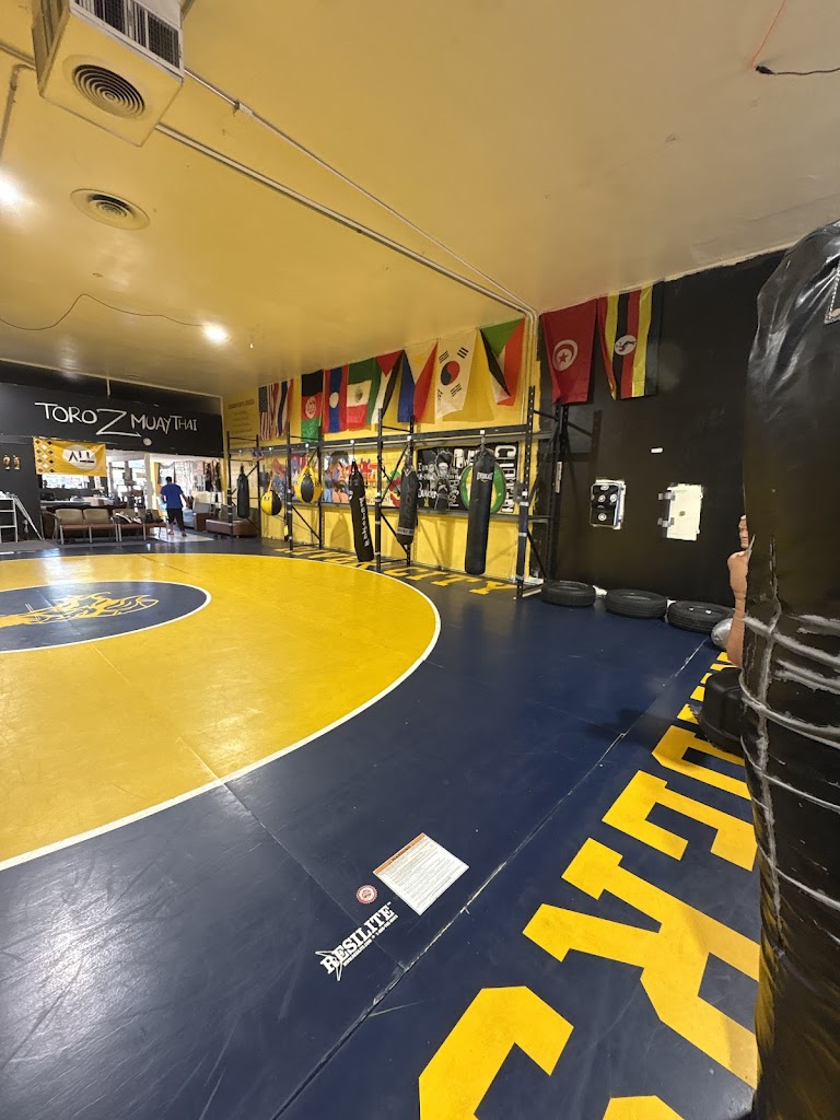  Toro Z Muay Thai